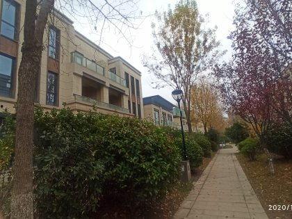 檀府最新房价真实爆料,真实爆料揭示豪宅市场新动态”