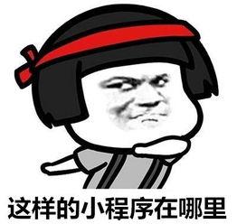 小程序最新动态爆料信息,功能升级与行业趋势前瞻